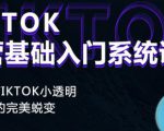 Tiktok实操进阶课程，体验从tiktok小透明到大佬的完美蜕变-副业资源站