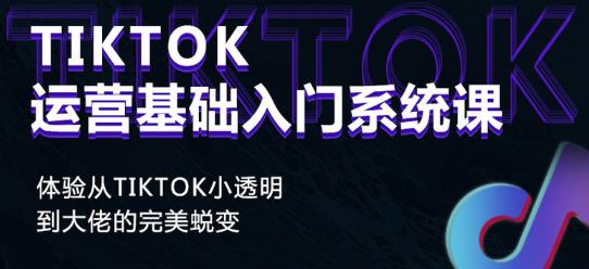 Tiktok实操进阶课程，体验从tiktok小透明到大佬的完美蜕变-副业资源站