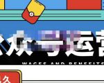 零零已久·从0-1运营公众号，零基础小白也能上手，系统性了解公众号运营-副业资源站