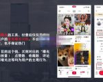 麦子互娱短视频带货·0基础做好物分享账号，无需出镜无需货源无需拍摄-副业资源站