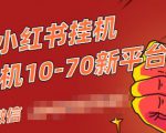 视频号小红书抖音挂机项目，小白无脑操作，按照要求来，单号每天几十米-副业资源站