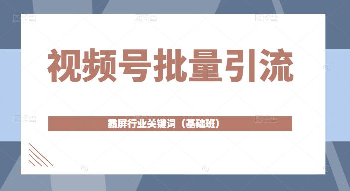 视频号批量引流，霸屏行业关键词（基础班）全面系统讲解视频号玩法-副业资源站