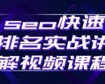 seo快速排名实战讲解视频课程，揭秘seo快排原理-副业资源站