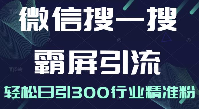 微信搜一搜霸屏引流课，打造被动精准引流系统，轻松日引300行业精准粉-副业资源站