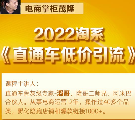 茂隆2022直通车低价引流玩法，教大家如何低投入高回报的直通车玩法-副业资源站