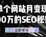 单个网站月变现100万的SEO秘密，百分百做出赚钱站点-副业资源站