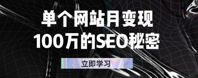 单个网站月变现100万的SEO秘密，百分百做出赚钱站点-副业资源站