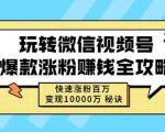 玩转微信视频号爆款涨粉赚钱全攻略，快速涨粉百万变现万元秘诀-副业资源站