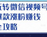 玩转微信视频号爆款涨粉赚钱全攻略，让你快速抓住流量风口，收获红利财富-副业资源站