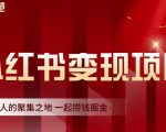 渣圈学苑·小红书虚拟资源变现项目，一起捞钱掘金价值1099元-副业资源站