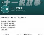 十一说故事·故事性中视频，观众快速共鸣从而快速变现的中视频玩法-副业资源站