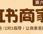 贾真-小红书商家营第6期商家版，21天带货陪跑课，让商家丢掉付流量-副业资源站