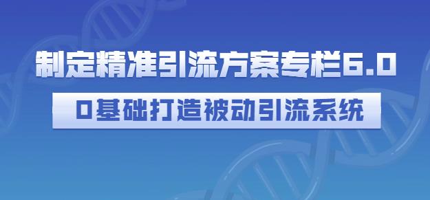 制定精准引流方案专栏6.0，0基础打造被动引流系统-副业资源站