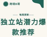 【跨境B哥】独立站潜力爆款选品推荐，测款出单率高达百分之80-副业资源站