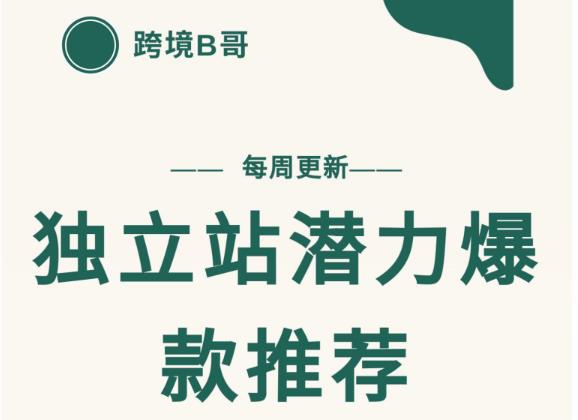 【跨境B哥】独立站潜力爆款选品推荐，测款出单率高达百分之80-副业资源站