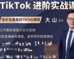 大山老师TikTok进阶实战课：账号详解，流量运营，实战变现，助力你成功出海-副业资源站