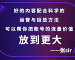 张sir账号流量增长课，告别海王流量，让你的流量更精准-副业资源站
