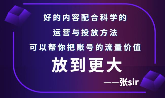 张sir账号流量增长课，告别海王流量，让你的流量更精准-副业资源站