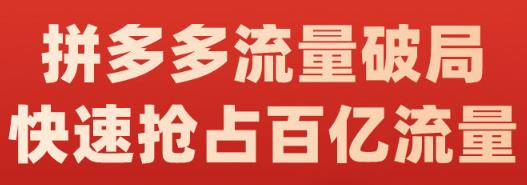 阿杰·拼多多流量破局:如何打黑标，爆款的思路，拼多多流量框架，快速抢占百亿流量-副业资源站