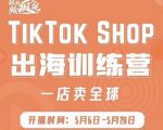 疯人院:TikTok Shop出海训练营（一店卖全球)，出海抢占全球新流量-副业资源站