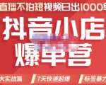 推易电商·2022年抖音小店爆单营，不直播、不拍短视频、日出1000单，暴力玩法-副业资源站