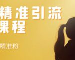 soul精准引流系列课程，每天引流100精准粉-副业资源站
