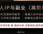 一舟一课个人IP与副业（高阶版），短视频和直播新手起号-普通人如何做好个人IP-副业资源站