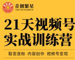 张萌21天视频号实战训练营，裂变涨粉、内容创作、视频号变现 价值298元-副业资源站