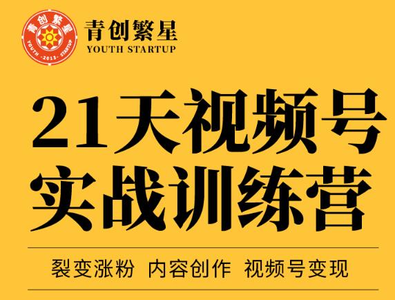 张萌21天视频号实战训练营，裂变涨粉、内容创作、视频号变现 价值298元-副业资源站