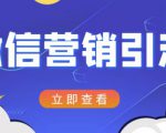 微信营销策划引流系列课程，每天引流100精准粉-副业资源站