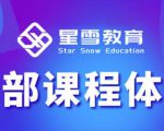 星雪教育淘系高级班，更全的运营提升方案，零基础由浅入深，店铺最新玩法-副业资源站