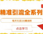 闲鱼精准引流全系列课程，每天引流100精准粉【视频课程】-副业资源站