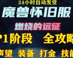 最新美服-怀旧服魔兽搬砖攻略，练级声望装备打金副本技能赚钱攻略-副业资源站