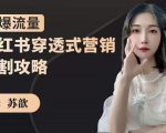 苏歆：小红书穿透式营销收割攻略，引爆流量，助你玩转小红书-副业资源站