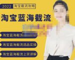 2022淘宝蓝海截流攻略，淘宝蓝海截流选品上货实操讲解-副业资源站
