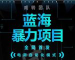引流哥蓝海暴力躺赚项目：无需发圈无需引流无需售后，每单赚50-500（教程+线报群)-副业资源站