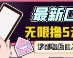 【高端精品】最新无撸5元E卡项目，无限接码秒到，一单利润3.5，轻松日入破千-副业资源站