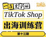 TikTokShop出海训练营（第十三期），打开全球流量新思维，出海抢占全球新流量，一店卖全球-副业资源站