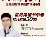 星哥同城教育书单号课程，无需出境简单操作项目稳定-副业资源站