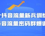 Peter抖音流量新兵训练营-破解抖音流量密码群爆训练营（新兵）-副业资源站