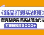 凌童《新品打爆实战班》,一套完整的实操实战落地方法，打爆链接超2000+（28节课)-副业资源站