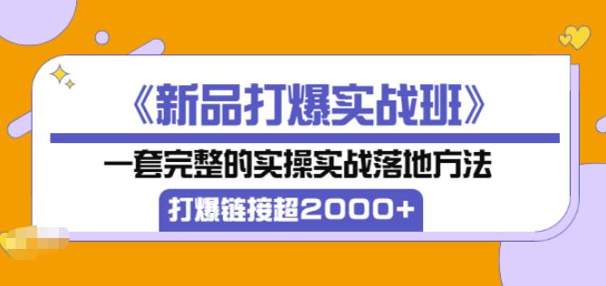 凌童《新品打爆实战班》,一套完整的实操实战落地方法，打爆链接超2000+（28节课)-副业资源站