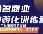 杨名商业IP孵化训练营，从商业到内容到转化一站式学 价值5980元-副业资源站