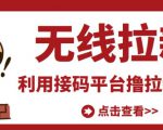 最新接码无限拉新项目，利用接码平台赚拉新平台差价，轻松日赚500+-副业资源站