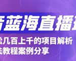 抖音最新蓝海直播玩法，3分钟赚30元，一天轻松1000+，只要你去直播就行【详细玩法教程】-副业资源站