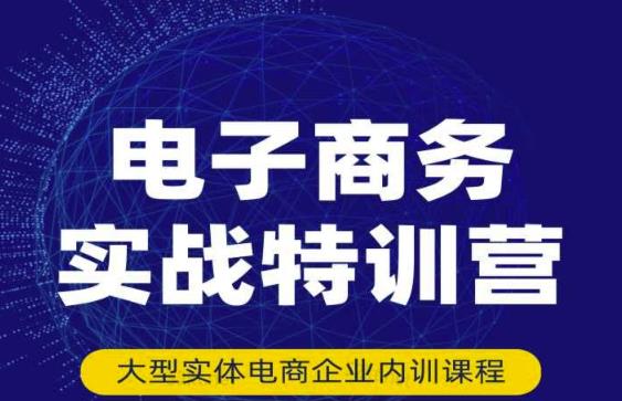 民赛电气内部出品：电子商务实战特训营，全方位带你入门电商，308种方式玩转电商-副业资源站