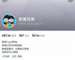 沙雕动画-皮蛋兄弟·熊猫人动画教学制作，全套素材文案教程分享！-副业资源站