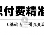 玩转知识付费项目精准引流，给你1套课多账号操作落地方案！-副业资源站