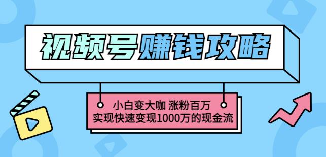 玩转微信视频号赚钱：小白变大咖涨粉百万实现快速变现1000万的现金流-副业资源站