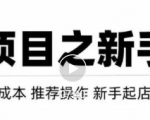 虚拟项目快速起店模式，0成本打造月入几万虚拟店铺！-副业资源站